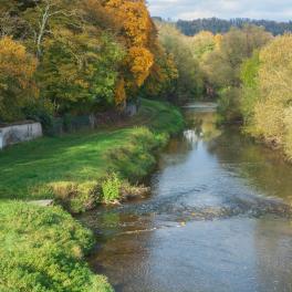 Protection contre les inondations du Madon