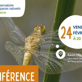 Conférence Zone humides : biodiversité et services rendus à l'homme