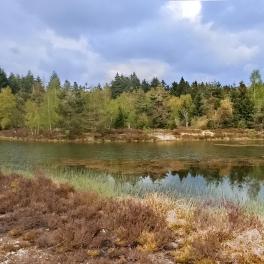 visite de l’Espace Naturel Sensible (ENS) des Houssots à Plombières-les-bains