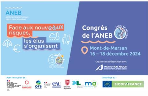 Affiche congrès ANEB